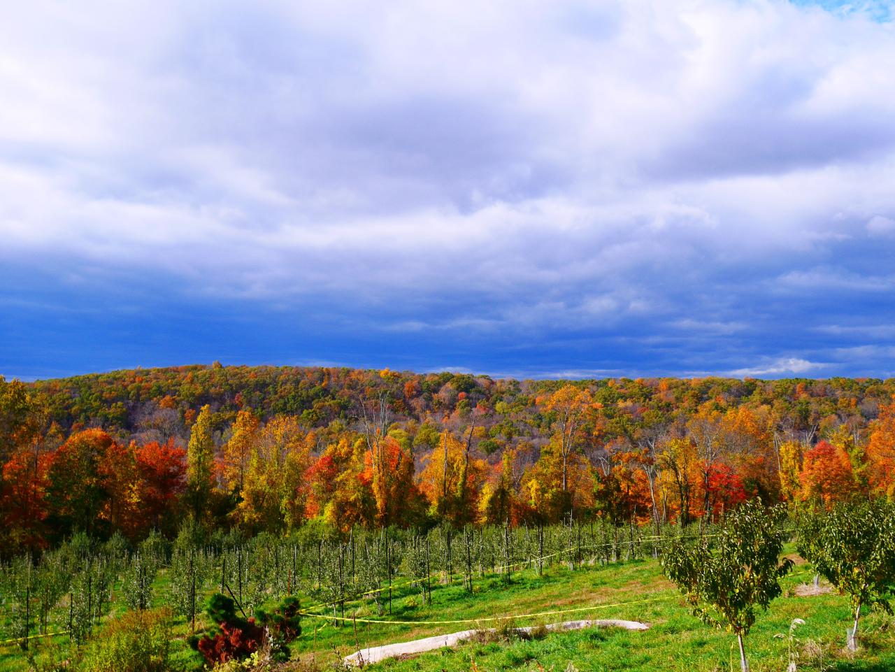 Why Harvest Moon Orchard Is the Best Fall Experience Around