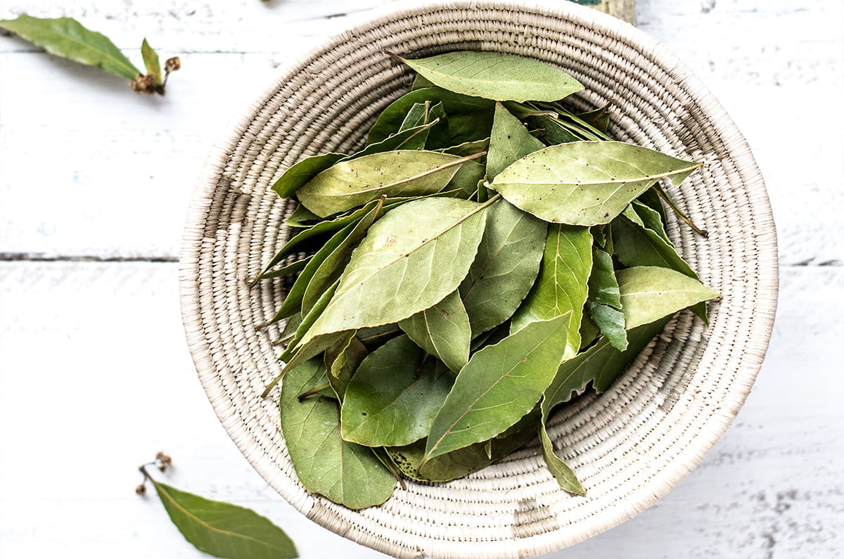 The Ultimate List of Bay Leaf Alternatives for Every Meal